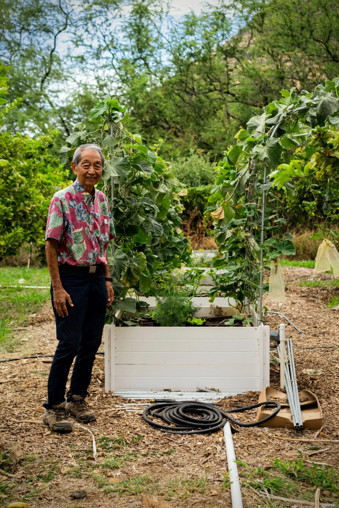 David Wong tending a planter box at Mountain View Farms