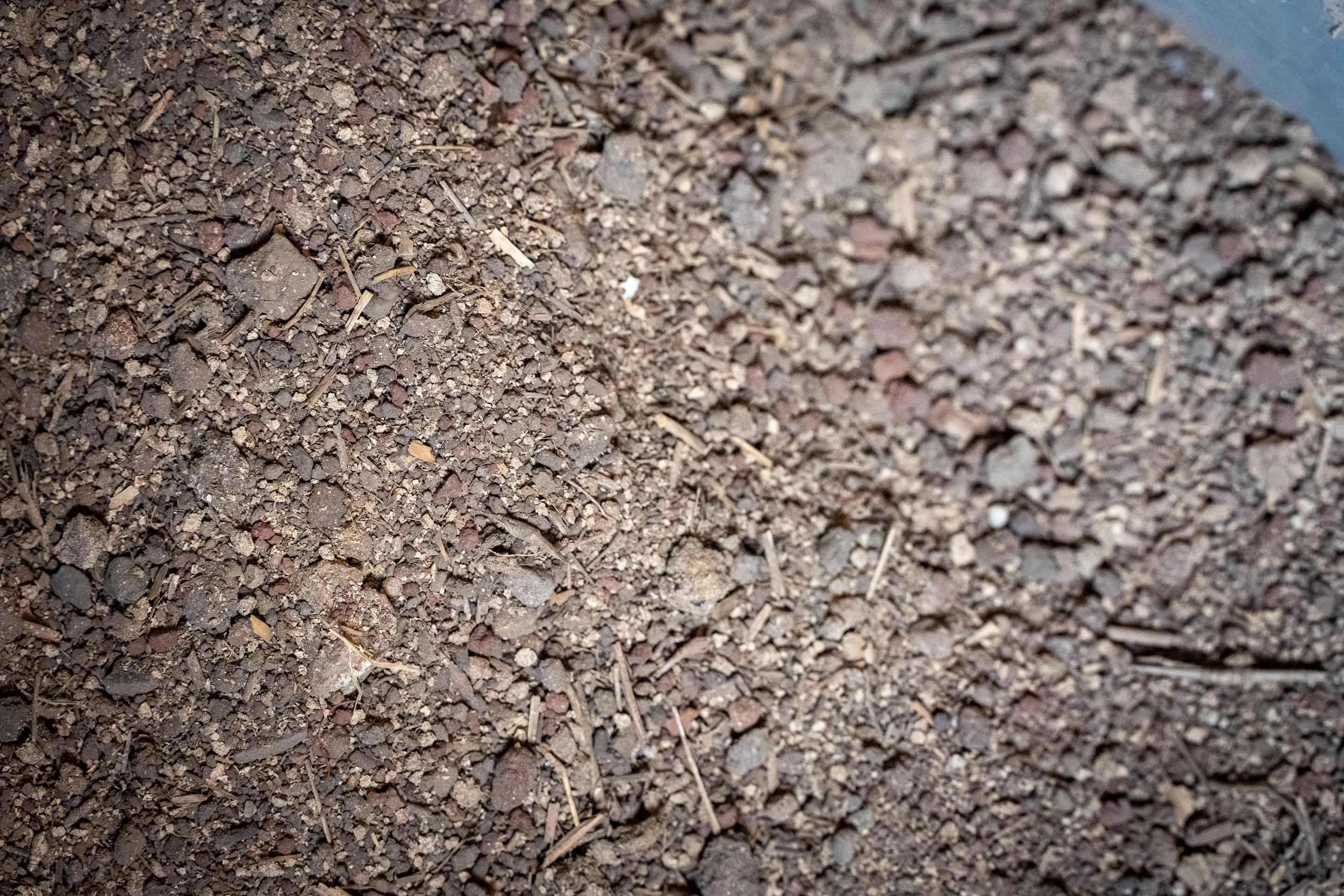 Indigenous Microorganisms (IMO) cultured at Mountain View Farms — beneficial microbes gathered from the forest floor and multiplied to feed the soil.