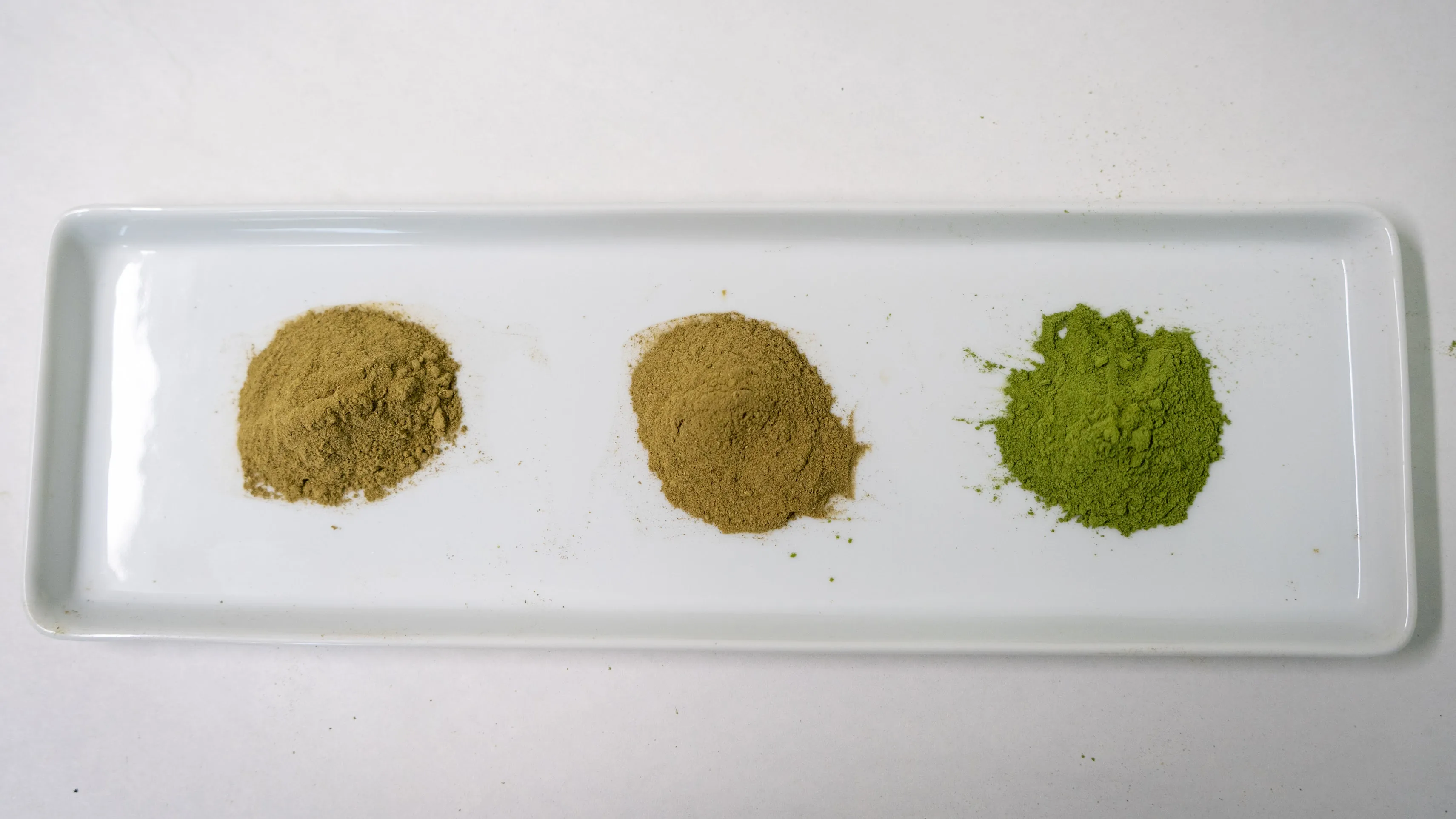 Side-by-side comparison of moringa powders from three producers